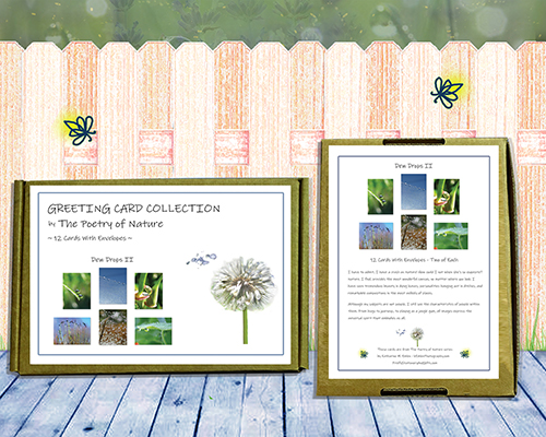 Dew Drops II Greeting Card Collection by The Poetry of Nature. Peaceful, soothing water drop note cards, cards with poems